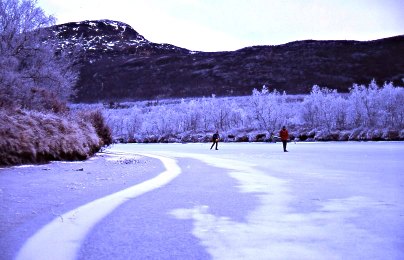 Vistasjokk