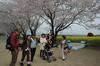 picnic